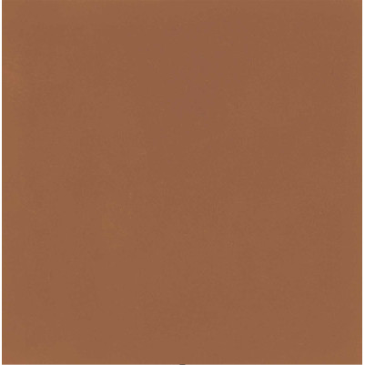 Gresie D_SEGNI COLORE TANGERINE M1KU 20x20cm