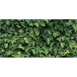 Decor DREAM INSERTO GLASS 2-elemente 60x60cm, interior, baie-bucatarie, verde lucios, Paradyz