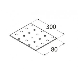 Placa perforata 300 x 80 x 2 mm - Img 2