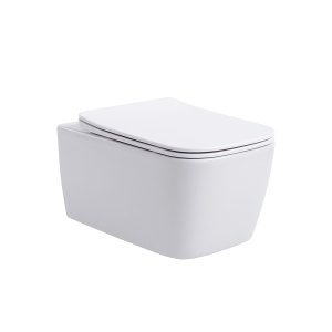 Vas WC suspendat Rimless cu capac Soft Close, 52 x 37 x 29 cm, alb, Recall, Anahita