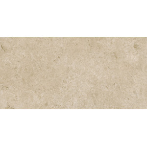 Gresie CARACTER GREIGE M979 60x120cm - Img 1
