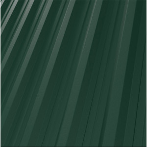 RAL 6005