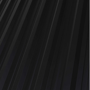 RAL 9005