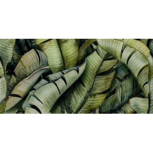 Decor NATURA LEAF B 30X60cm, interior, baie-bucatarie, model tropical verde lucios, Paradyz