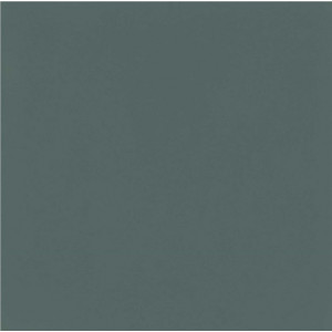 Gresie D_SEGNI COLORE INDIGO M1KV 20x20cm, interior-exterior, rectificat, indigo mat, Marazzi