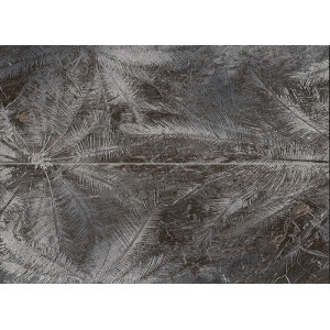 Decor SEDONA PALMS 2 ELEMENTE 65.8x89.8cm, interior, baie-bucatarie, rectificat, maro inchis mat, Tubadzin