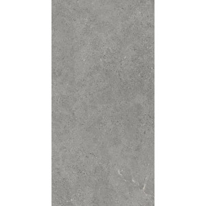 Gresie Authority Gry MAT 60x120 Paradyz - Img 2