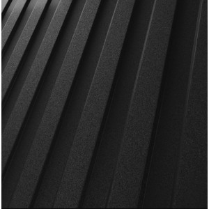 RAL 9005