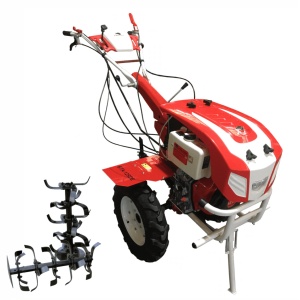 Motocultor Diesel 12Cp Bisonte BTA-12SDE pornire electrica