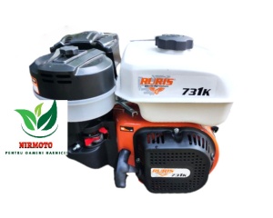 Motor Motocultor Ruris 8,5 Cp ax canelat - Img 2