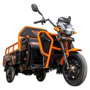 Triciclu electric Cargo RURIS PILOT 3110 N 2000 W