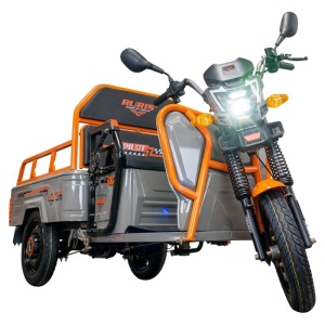 Triciclu electric Cargo RURIS PILOT 3110 G 2000 W