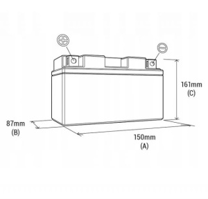 Baterie Motocultor 12V 14ah AGM Gel borna + pe stanga - Img 2
