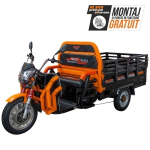 Triciclu electric Cargo RURIS PILOT 3130 N 3600 W - Img 2
