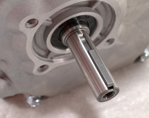 Motor motocultor / motosapa 7cp benzina (Ax Pana) - Img 2