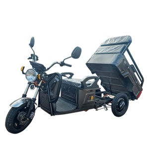Triciclu Electric Voltarom, Fara Permis motor 1600W, viteza maxima 25 km pe ora autonomie pana la 60 km - Img 2