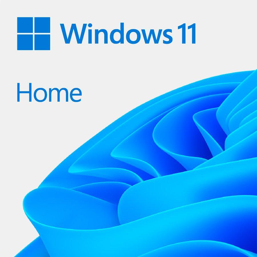 LIC OEM WIN 11 HOME 64BIT EN