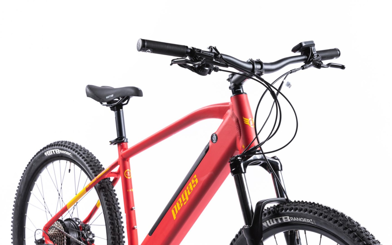 Bicicleta MTB Pegas Drumet Dinamic E-Bike. Rosu Mat - 4 | YEO