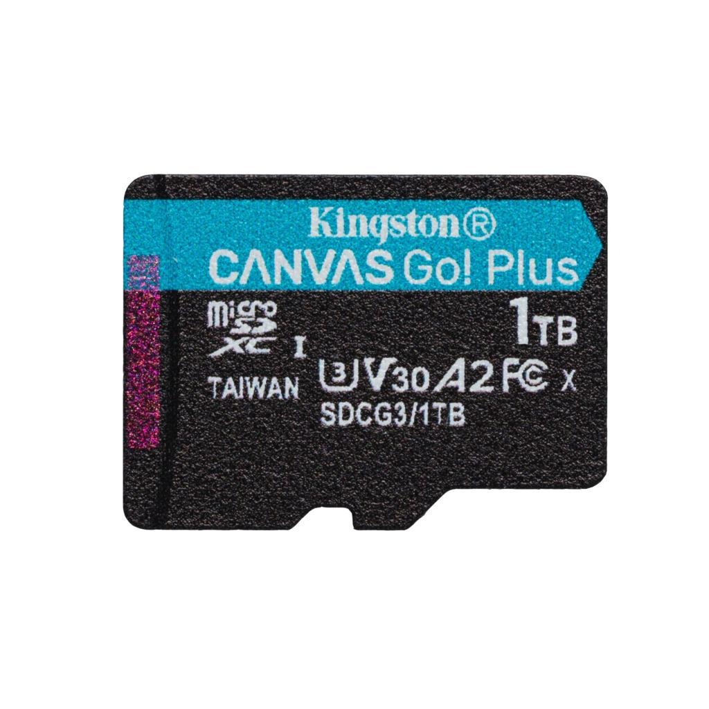 Card de Memirie KINGSTON, 1TB, Canvas GO Plus, - 1 | YEO