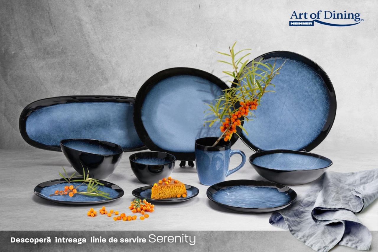 SET 4 FARFURII OVALE CERAMICA 28 CM, SERENITY, ART OF DINING BY HEINNER - 3 | YEO