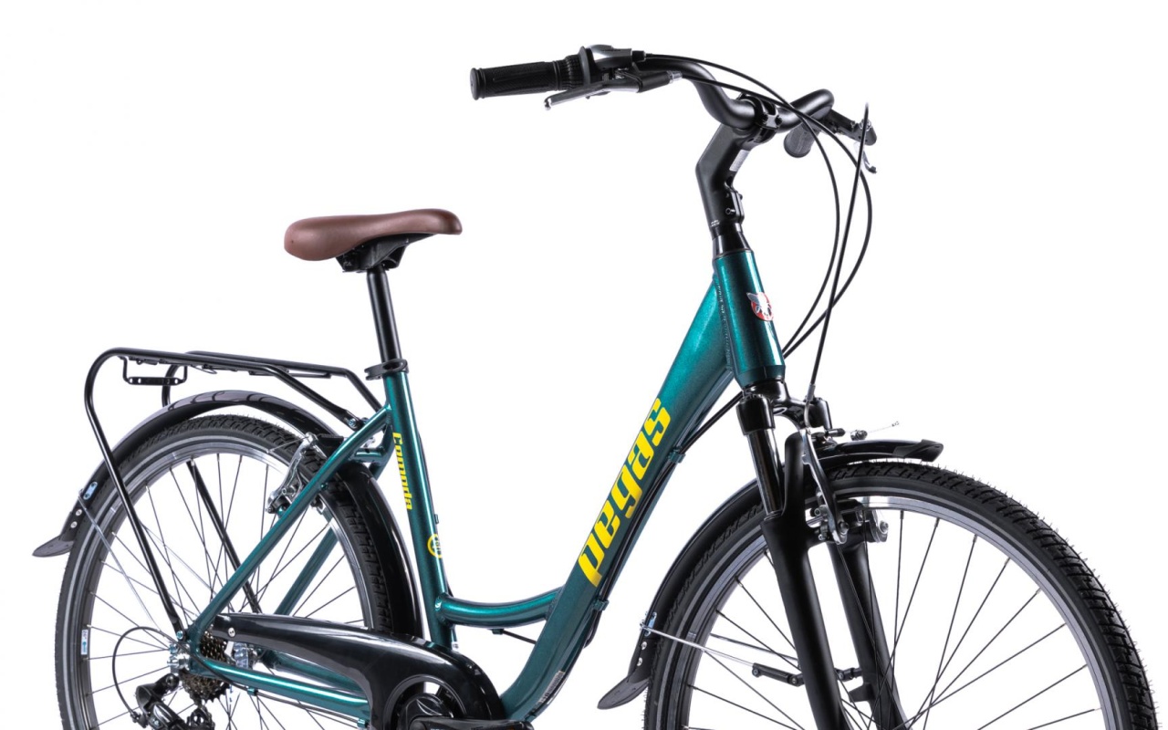 Bicicleta Oras Pegas Comoda Verde Pin ( AL) - 3 | YEO