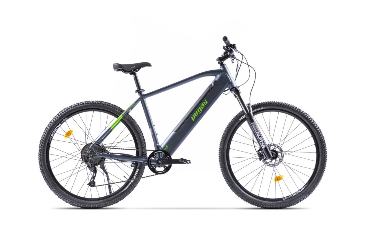 Bicicleta MTB Pegas Drumet Dinamic E-Bike. Gri Mat