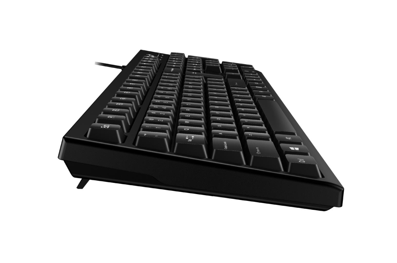 Tastatura Genius KB-100, neagra - 3 | YEO