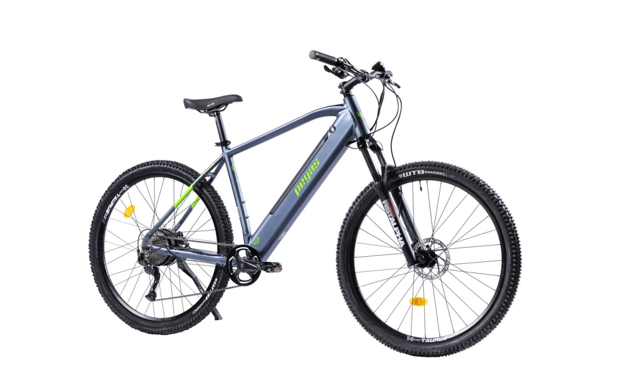 Bicicleta MTB Pegas Drumet Dinamic E-Bike. Gri Mat - 1 | YEO