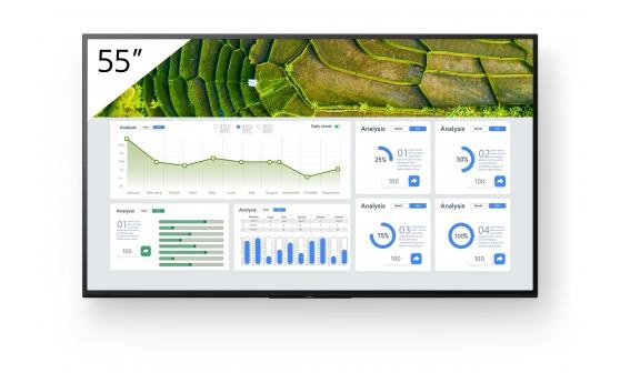 Monitor signage Sony BZ30L, 55