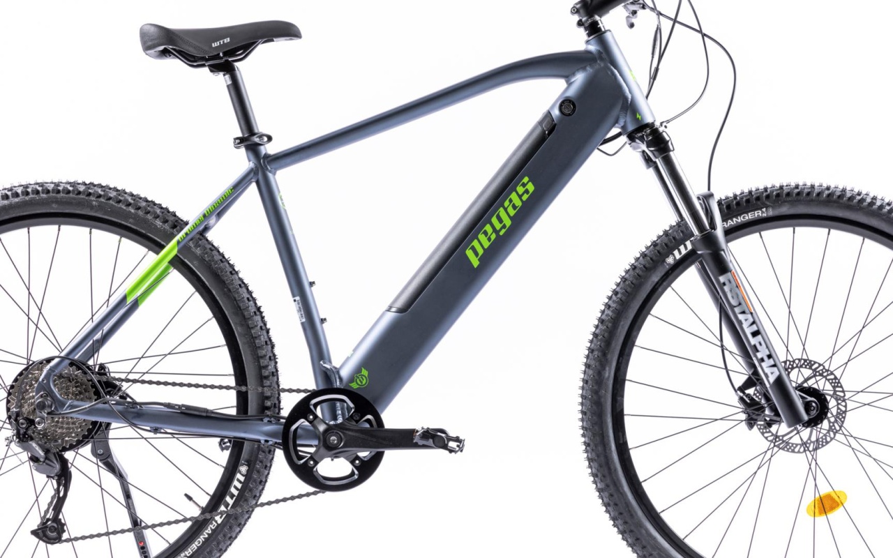 Bicicleta MTB Pegas Drumet Dinamic E-Bike. Gri Mat - 2 | YEO