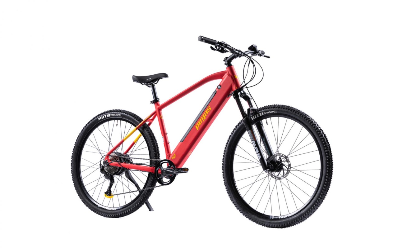 Bicicleta MTB Pegas Drumet Dinamic E-Bike. Rosu Mat - 1 | YEO