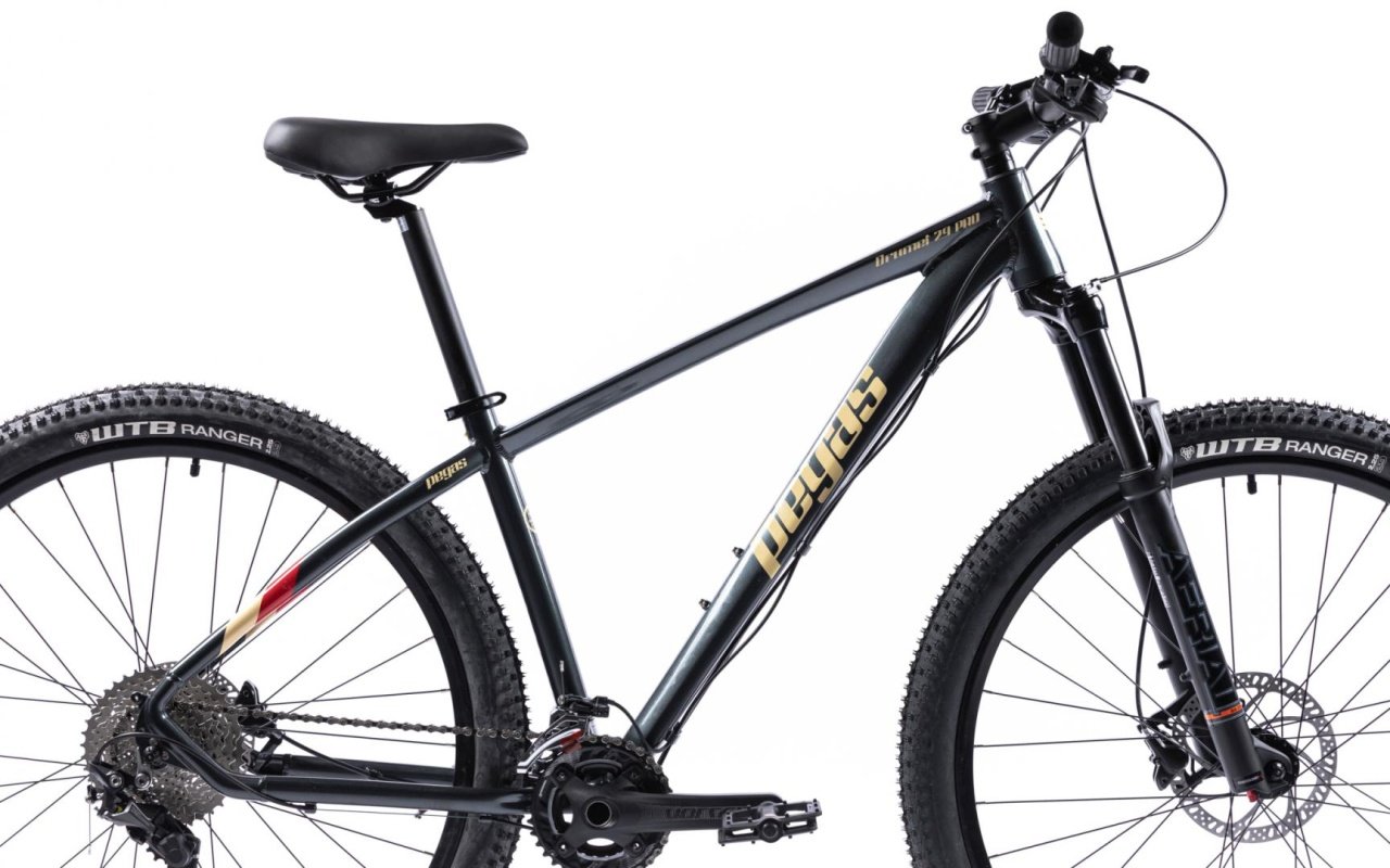 Bicicleta MTB Pegas DRUMET PRO M 29\'\' GRI CARBON