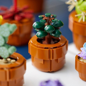 PLANTE DE MICI DIMENSIUNI, LEGO 10329 - Img 7