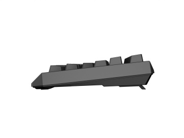 Tastatura gaming mecanica wireless Genesis Thor 230 TKL, iluminare RGB, swtich-uri Red, 87 taste, 11 butoane multimedia, negru - Img 6