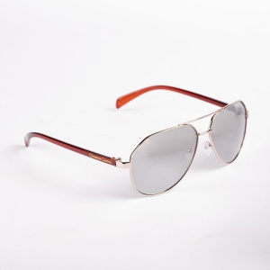 LGS231B - Img 2