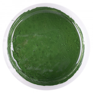 Pigment epoxidic Megapoxy VERDE 500Gr