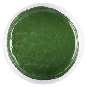 Pigment epoxidic Megapoxy VERDE 120Gr - Img 1