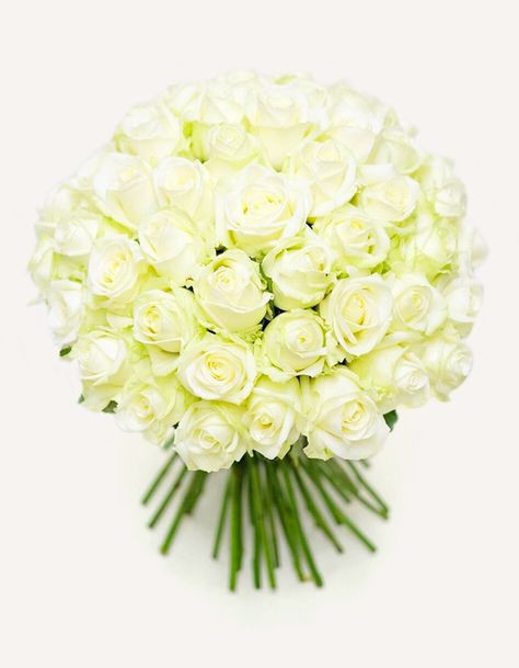 Buchet cu 101 trandafiri albi