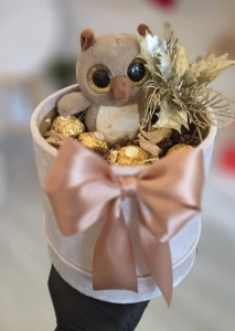 Brown Owl Box