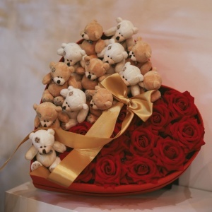 Teddy Luxury