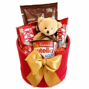 Teddy Go