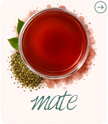 yerba mate