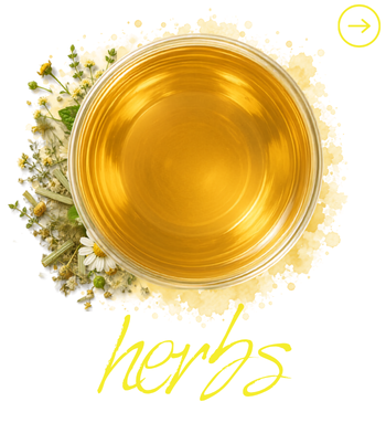 infuzii de plante