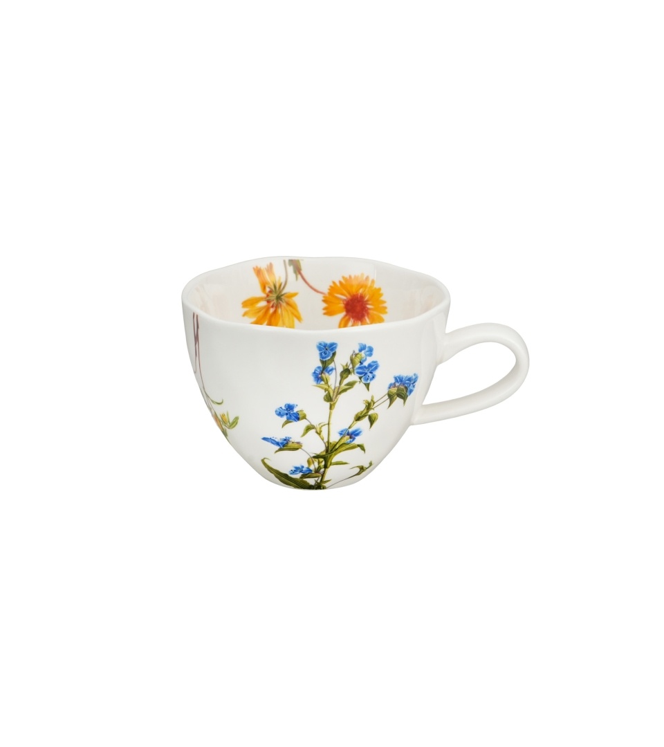 Aceasta este imaginea corespunzatoare acestui obiect