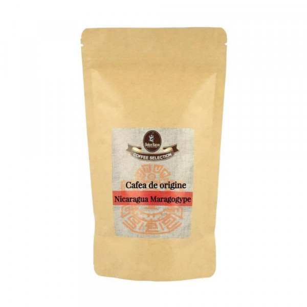 Nicaragua Maragogype