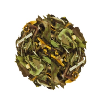 Ice Tea Citrus & Ginger