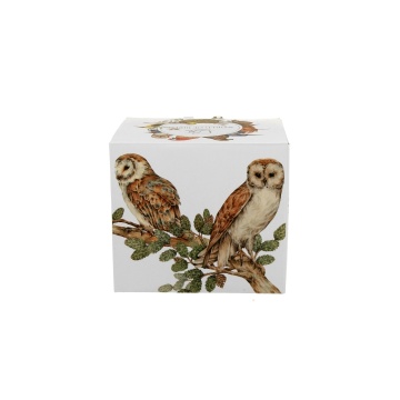 Cana 400ml Lumea Pasarilor BARN OWLS - Img 3