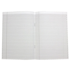 Caiet tip 2, 48 file - Img 2