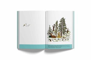 Ursulețul Pompon și casa din pădure - Img 3