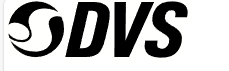 DVS Shoes